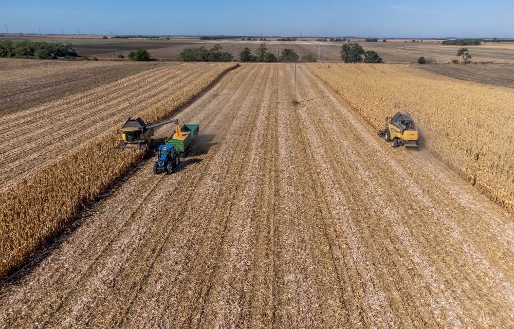 Uniós agrárügyi biztos: tartósan önkéntes lehet a szántóterületek parlagon hagyása