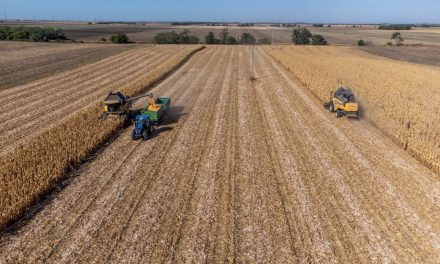 Uniós agrárügyi biztos: tartósan önkéntes lehet a szántóterületek parlagon hagyása