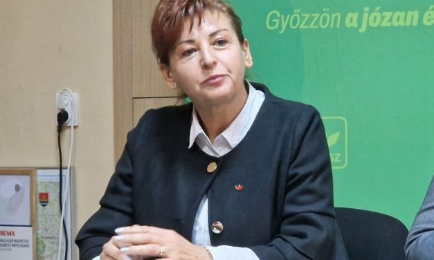 Kohéziós bejárótábor a temesvári Kós Károly Közösségi Központban