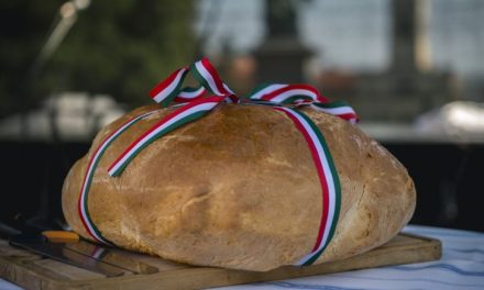 Új kenyér ünnepe Temesságon