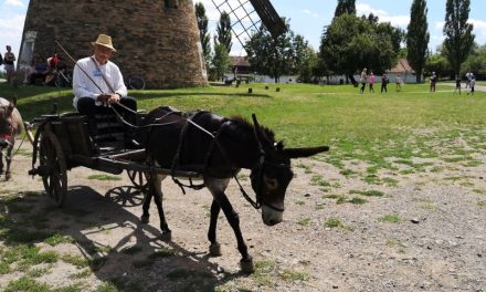 Múzeumok éjszakája – Tárlatvezetések, kiállításmegnyitó, zene és fényinstalláció Szentendrén