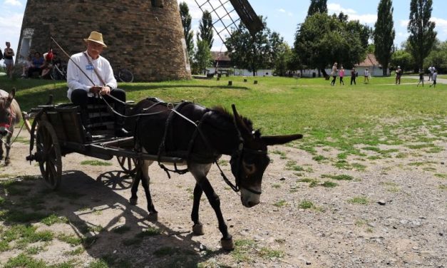 Múzeumok éjszakája – Tárlatvezetések, kiállításmegnyitó, zene és fényinstalláció Szentendrén