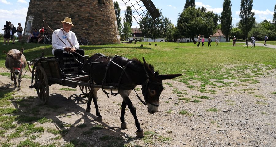 Múzeumok éjszakája – Tárlatvezetések, kiállításmegnyitó, zene és fényinstalláció Szentendrén